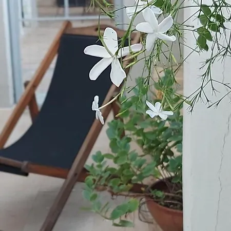 Casa Qanat, Relax In Centro